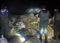 Van'da kaçak avlanan bir ton ölü inci kefali ele geçirildi
