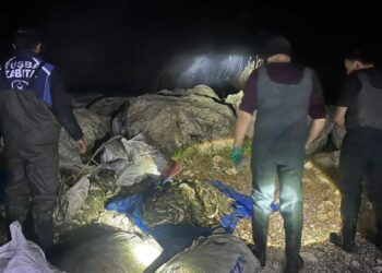 Van'da kaçak avlanan bir ton ölü inci kefali ele geçirildi