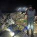 Van'da kaçak avlanan bir ton ölü inci kefali ele geçirildi