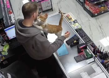 Dükkanının önünde bulduğu kedisiyle her gün kucaklaşıyor