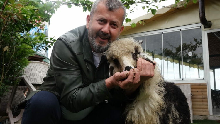 Özenle büyüttüğü kuzusu 'Abbas' yoldaşı oldu