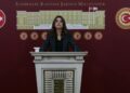 DEM Parti'li Koçyiğit: Barışın hukuka ihtiyacı var