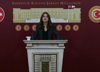 DEM Parti'li Koçyiğit: Barışın hukuka ihtiyacı var