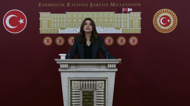 DEM Parti'li Koçyiğit: Barışın hukuka ihtiyacı var