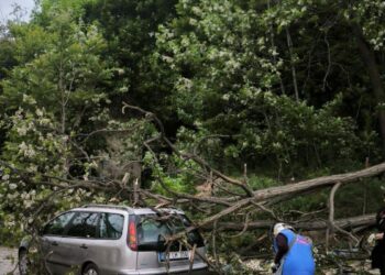 Tekirdağ'da kuvvetli rüzgarda ağaç otomobilin üzerine devrildi