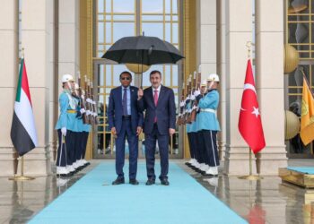 Cumhurbaşkanı Yardımcısı Yılmaz, Sudan Başbakanı İdris ile görüştü
