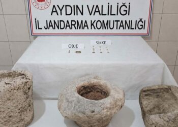 Aydın'da 'tarihi eser' operasyonu; 1 gözaltı