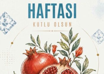AK Parti'li Çelik: Türk mutfağı, yüzlerce yıllık mirası anlatıyor