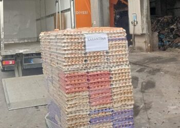 Sakarya’da 42 bin sahte organik etiketli yumurta imha edildi