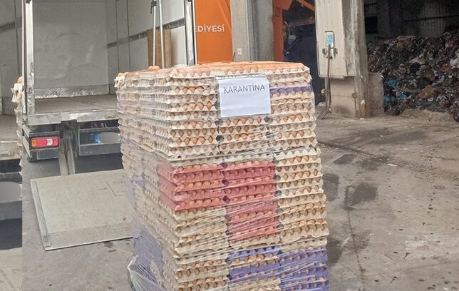 Sakarya’da 42 bin sahte organik etiketli yumurta imha edildi