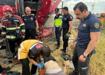 Aydın'da devrilen kamyonun şoförü öldü