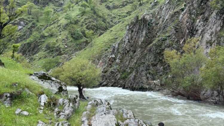 Muş’ta çaya düşen kadını arama çalışmaları sürüyor