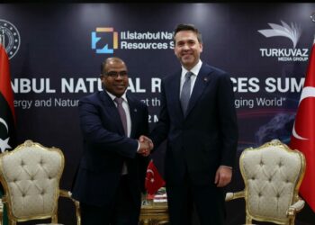 Bakan Alparslan Bayraktar, Libya Petrol ve Gaz Bakanı Abdülsadık ile görüştü