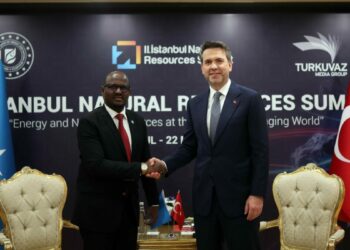 Bakan Alparslan Bayraktar, Somali Petrol ve Maden Kaynakları Bakanı Mohamed ile görüştü