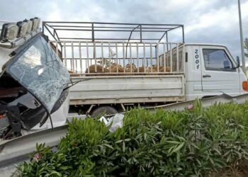 Devrilen kurbanlık yüklü kamyonetin sürücüsü yaralandı