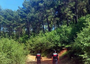 Muğla'da ormanlara giriş yasağı