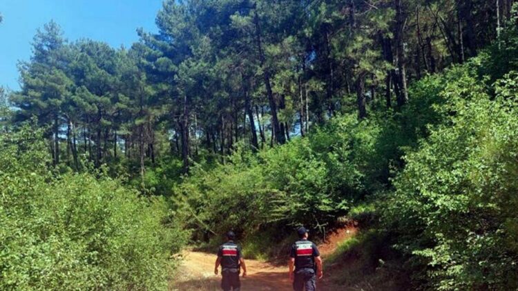 Muğla'da ormanlara giriş yasağı