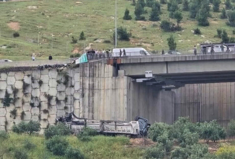 TIR, otomobile çarpıp viyadükten düştü; 2 ölü,4 yaralı