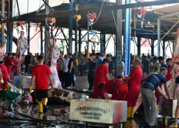 Sokakta kurban kesip, atıklarını gömenlere 29 bin 529 lira ceza