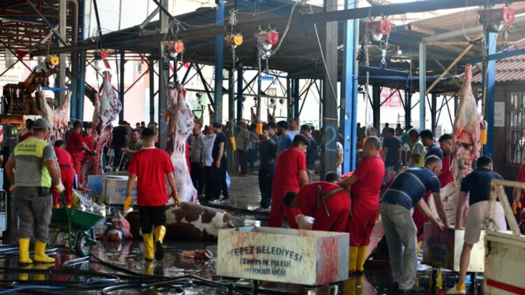 Sokakta kurban kesip, atıklarını gömenlere 29 bin 529 lira ceza