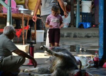'12 yaşından küçüklere kurban kesimini göstermeyin'