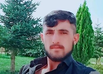Hayvan otlatırken yıldırım isabet eden besici ağır yaralandı