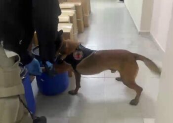 40 milyon hap üretebilecek 1 ton uyuşturucu ham maddesi ele geçirildi