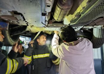 Otomobilin motor bölümüne giren kedi sanayide çıkarıldı