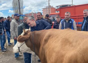 Vali Polat, kurban pazarlığında ara buluculuk yaptı