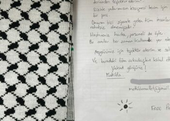 Sumud Filosu aktivisti Mallet’ten Türk sağlık çalışanlarına teşekkür mektubu
