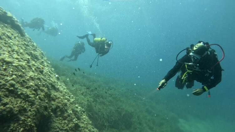 Saros Körfezi'nde su altı sezonu başladı; 17 dalış noktası var