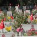 Vali Gül, Edirnekapı Şehitliği'ni ziyaret etti