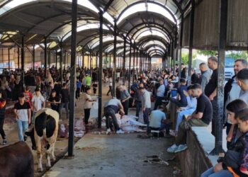 Şanlıurfa’da kurban kesim alanlarında hareketlilik