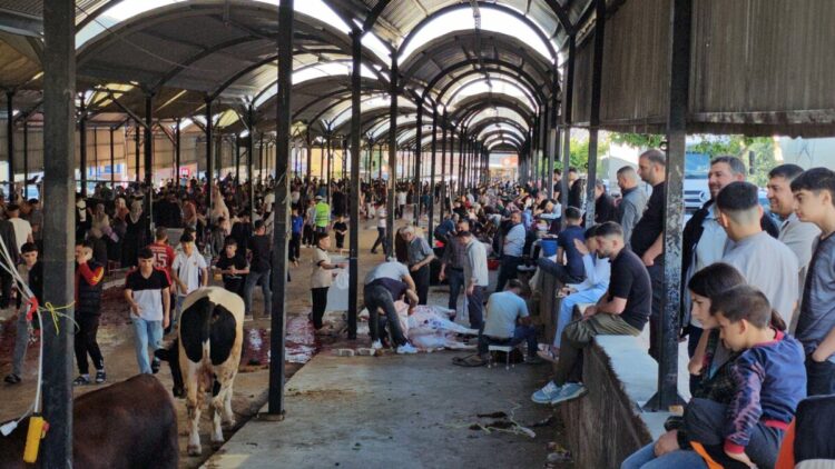 Şanlıurfa’da kurban kesim alanlarında hareketlilik