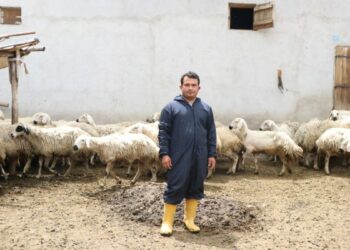 Hayvan sevgisiyle sağlığına kavuştu; köyüne dönüp modern tarım ve hayvancılığa başladı