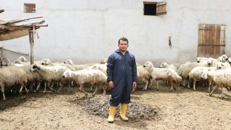 Hayvan sevgisiyle sağlığına kavuştu; köyüne dönüp modern tarım ve hayvancılığa başladı