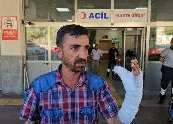Şanlıurfa’da kurban kesimi sırasında 232 kişi yaralandı