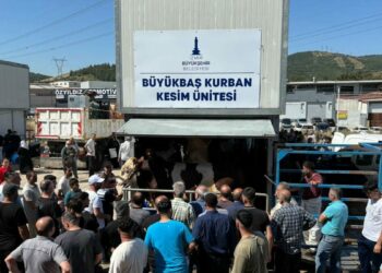 İzmir’de kurban kesim yoğunluğu