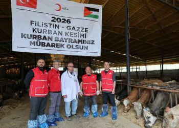 Türk Kızılay'ın vekaletle kurban kesimleri sürüyor