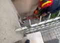 Avcılar'da itfaiyenin 'kedi mesaisi'