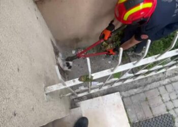 Avcılar'da itfaiyenin 'kedi mesaisi'