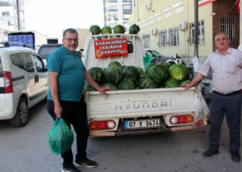 'Fiyatı sorulmayan' karpuzun hasadı başladı