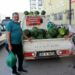 'Fiyatı sorulmayan' karpuzun hasadı başladı