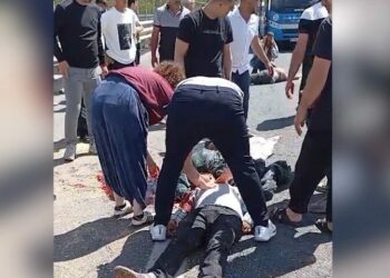 Kurbanlık koyun yüklü kamyonet devrildi: 1 ölü, 1 yaralı