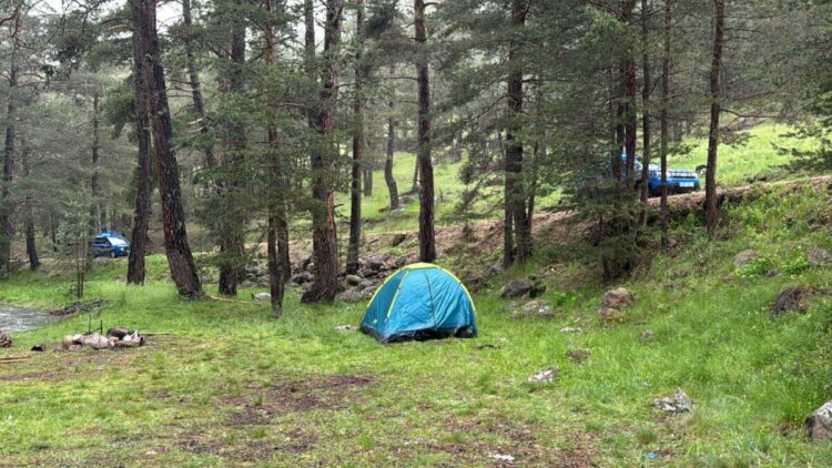 Ağaca yıldırım düştü; piknik yapan akrabalardan 1'i ağır 3 yaralı