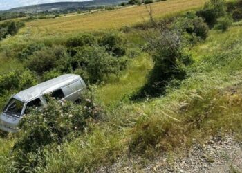 Kamyonet, şarampole yuvarlandı: 2 yaralı