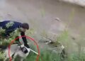 Çar Çayı'na düşen köpeği, elini ısırmasına rağmen kurtardı