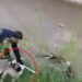 Çar Çayı'na düşen köpeği, elini ısırmasına rağmen kurtardı