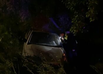 Bursa'da otomobil zeytinliğe uçtu: 2'si çocuk 4 yaralı