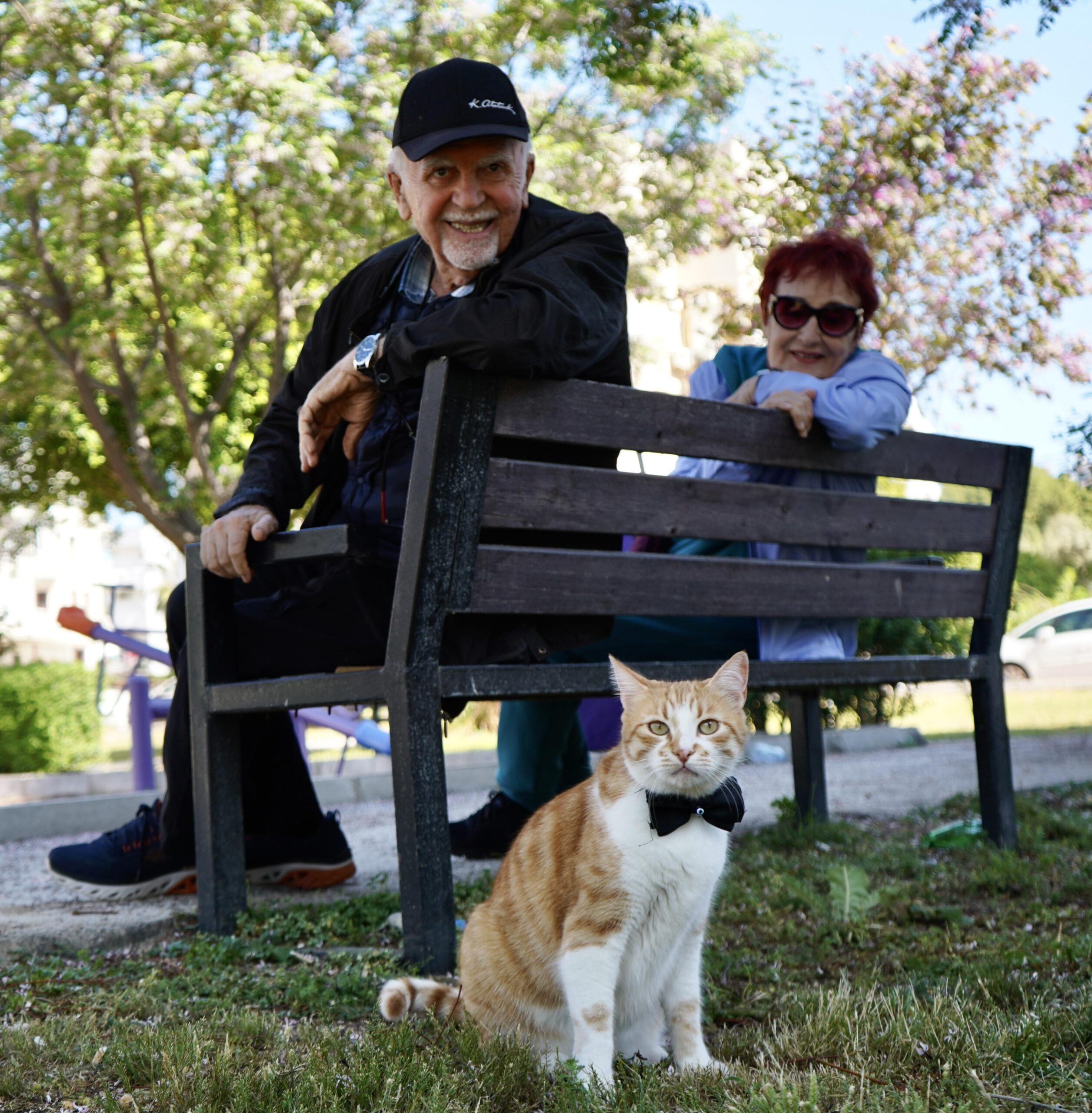 Papyonlu kedi 'Foça', emekli çiftin hayatını değiştirdi
